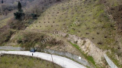 Trabzon'da Satılık Arazi
