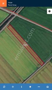 📌balıkesir Gönen Sarıköy Mahallesin De Satılık Çeltik Tarlası