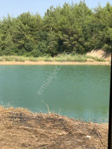 Sarıçam Avcılar 95dönüm Tarla Damlama Sistemi Hidrofor Gübre Tankı Elektrik Yol Su Etrafı Çevrili