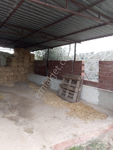 Mersinli Mh. Asfalta 50m Mesafede, Elektrikli & Kuyulu, 2500m2 Hobi Bahçesi