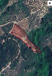 Bursa Mudanya Talatbey De Zeytinlik