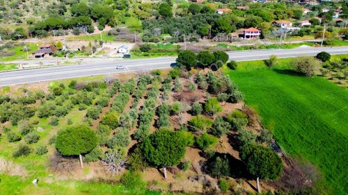 İzmir Dikili Bahçeli Mahallesinde Ana Yola Cepheli 3385 M² Tarla