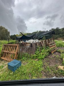 "aksu Mandırlar'da Villa İmar'lı Müstakil Tapu'lu Satılık Arsa" En/ru/de