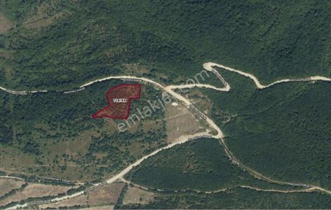 Remax Soner'den Gerze Yenikent'te 6586 M² Satılık Tarla