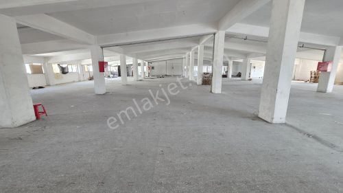 Beylikdüzü O.s.b. Bakırcılar Sanayi Kiralık 1.250 M² Çatı Kat Depo