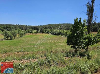 Bileckte Kelepir Arsa