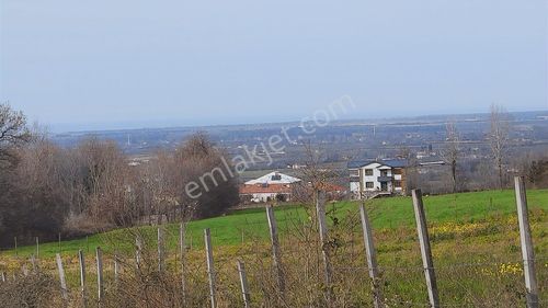 Tekkeköy Köy İçi Yerleşik Alanda Yatırımlık Tarla-kışla Mah.