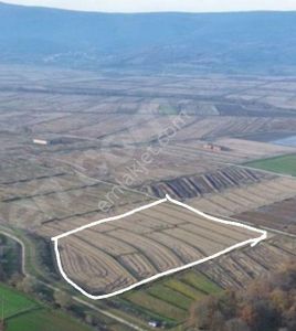 Satılık Çeltik Tarlası