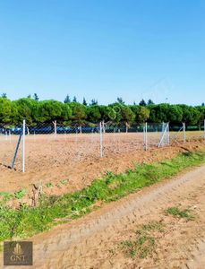 Tekirdağ Marmara Ereğlisi Bahçelievlerde İmar Sınırında Çevrili