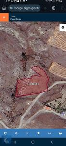 Olukcu Da Acil Satılık Bağ