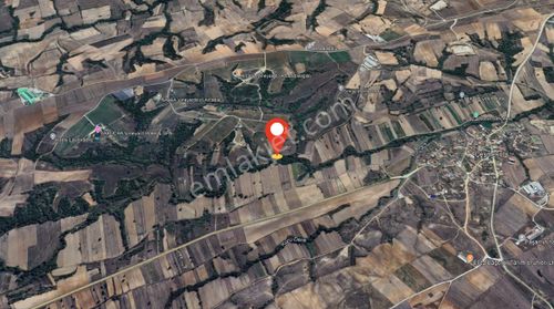 Tek Tapu, Yol Cepheli, Bölgenin En Uygunu