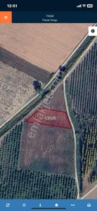 Bursa Mustafa Kemalpaşa İlçesi Ayaz Mahallesinde Satılık Armut Bahçesi