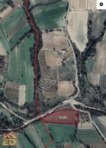 Buldan'da 5702 M² Sulak Tarla Yatırımı - Dağcı Emlak