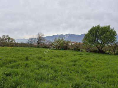 Bursa Yıldırım’da 3900m² Tarla Niteliğinde Arsa Ziyaret Yalnızca Randevuyla