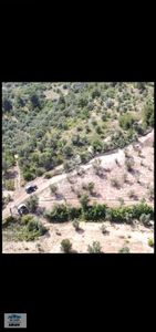 Sakarya Pamukova'da Satılık 5338 M² Müstakil Bağ Arsası