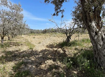 Tek Tapu Köy Civarı