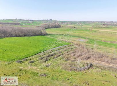 Kandıra Kırkarmut Mahallesi'nde 1200 M2 Fırsat Tarla