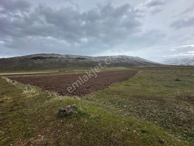Ağrı Patnos'ta Satılık Tarla