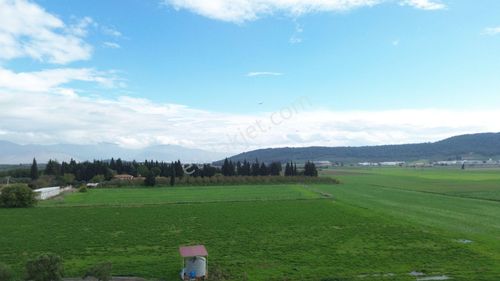 Foça Ilıpınar'da Satılık 4131 M² Müstakil Tapulu Tarla