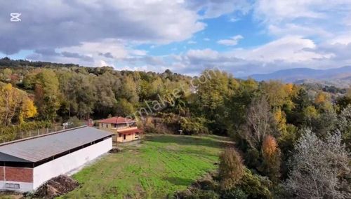 Remax Area'dan İnegöl'de Çiftlik Düzeni Kurulu Satılık Arazi