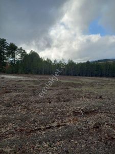 Keles Bıyıklıalan Köyünde Hisseli Satılık Tarla