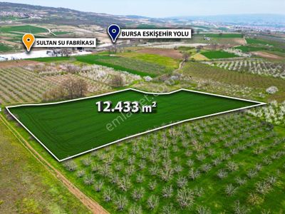İnegöl Akıncılar'da İmara 300 M Mesafe'de Satılık Fırsat Bahçe