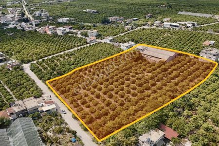 Finike Yeşilyurtta 13.200 M² Ticari + Konut İmarlı