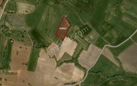 Satılık 6.266 M2 Tarla. Kırklareli Pınarhisar’da Uygun Fiyatlı Yatırım Fırsatı.