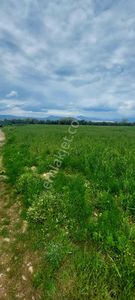 10250 M2 Dümdüz Arazi