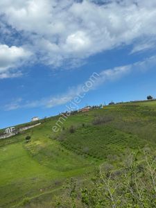 Evim-nur'dan Kurugökçe Mh 535m2 Doğa Manzaralı Yatırımlık Tarla