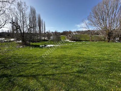 Çorum İskilip Sorkun Köyünde Satılık Tarla