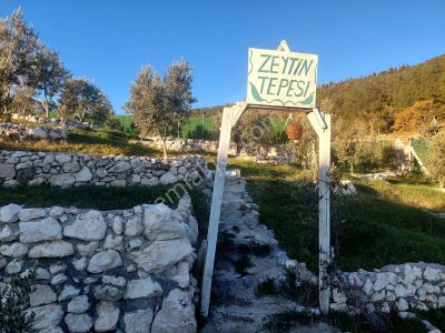 Görece De Satılık Tarla