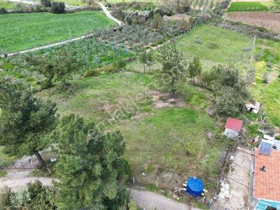 Menderes Turyap'tan Yeniköy'de 5000m² Satılık Tek Tapu Tarla