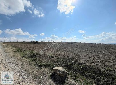 Özdemir Emlak'tan Bayındır Mahallesinde 210 Metre Hisseli Tapu!!