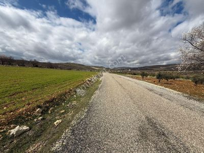 Ana Asfalta Sıfır Gülpınar'da 1.038 M2 Bağ Evlik Hisseli Arazi