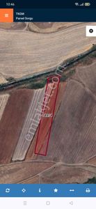 Atılım Gold'dan | İçme Suyu Ve Akarsu Kenarı | Arıcılığa Uygun 10 Dönüm