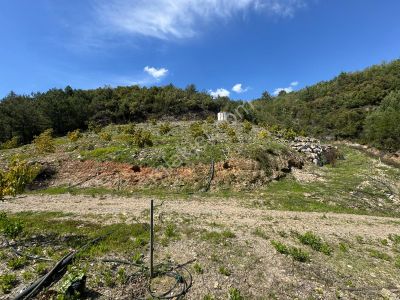 Alanya Dim Üzümlü’de Eşsiz Fırsat!