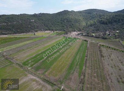 Güzelyurt Akdoğanda Yola Cepheli Tarla