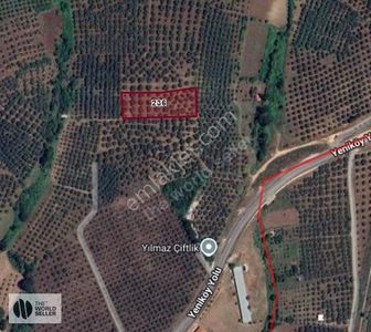 Yeniköy Girişinde Fırsat Zeytinlik