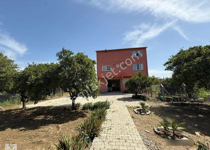 Aydın Nazilli Hamzallı Mahallesinde Satılık Müstakil Ev Ve Arsası