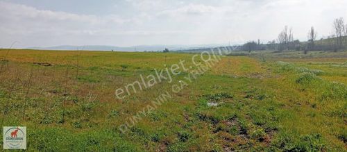 Çanakkale Biga Doğancı Köyünde 2921m2 Satılık Tarla