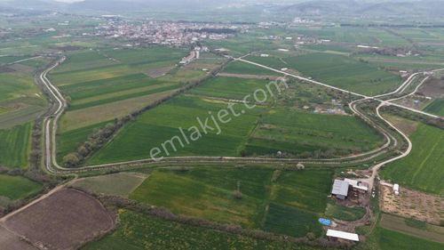 Altıeylül Pamukçu'da Satılık Tarla