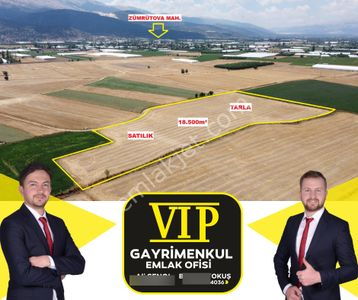 Vip Gayrimenkul'den Zümrütova Mah. 18.500m² Tarla
