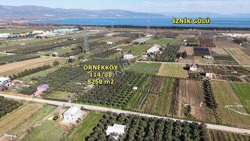 Yalova Turyaptan İznik Gölüne Yakın Yatırımlık Tarla