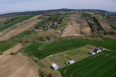 Çatalca Ovayenice De Çaplı Muvafakatnameli Satılık 590 M2 Tarla