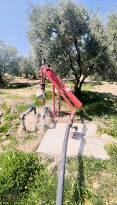 Mustafa Başyiğit Emlak'tan Eroğlu Köyünde 15 Dönüm Zeytinlik