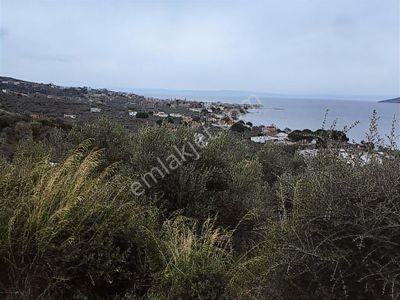 Erdek Narlı Da Full Deniz Manzaralı Satılık Tarla