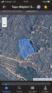 Erdek Ocaklar Da Satılık Zeytinlik