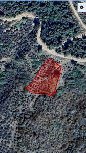 Erdek Ocaklar Da Satılık Zeytinlik