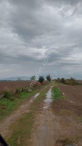 Aydın Baltaköyde 13 Dönüm Satılık Tarım Arazisi/tarla